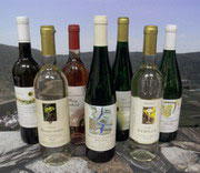 La présentation du vin offre une vue d'ensemble de notre assortiment de vin